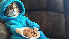 Cookie Monster Pyjamas