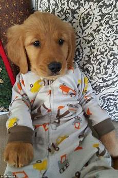 Festive Pyjamas