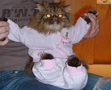 Funny Pyjamas