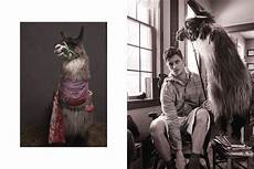 Llama Pyjamas