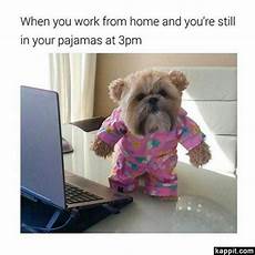 Lol Pjs