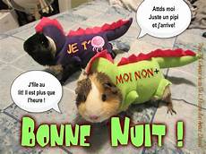 Pour Moi Pyjamas