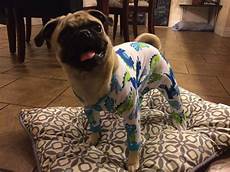 Pug Pjs