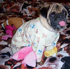 Pug Pjs