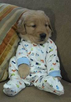 Warm Pjs